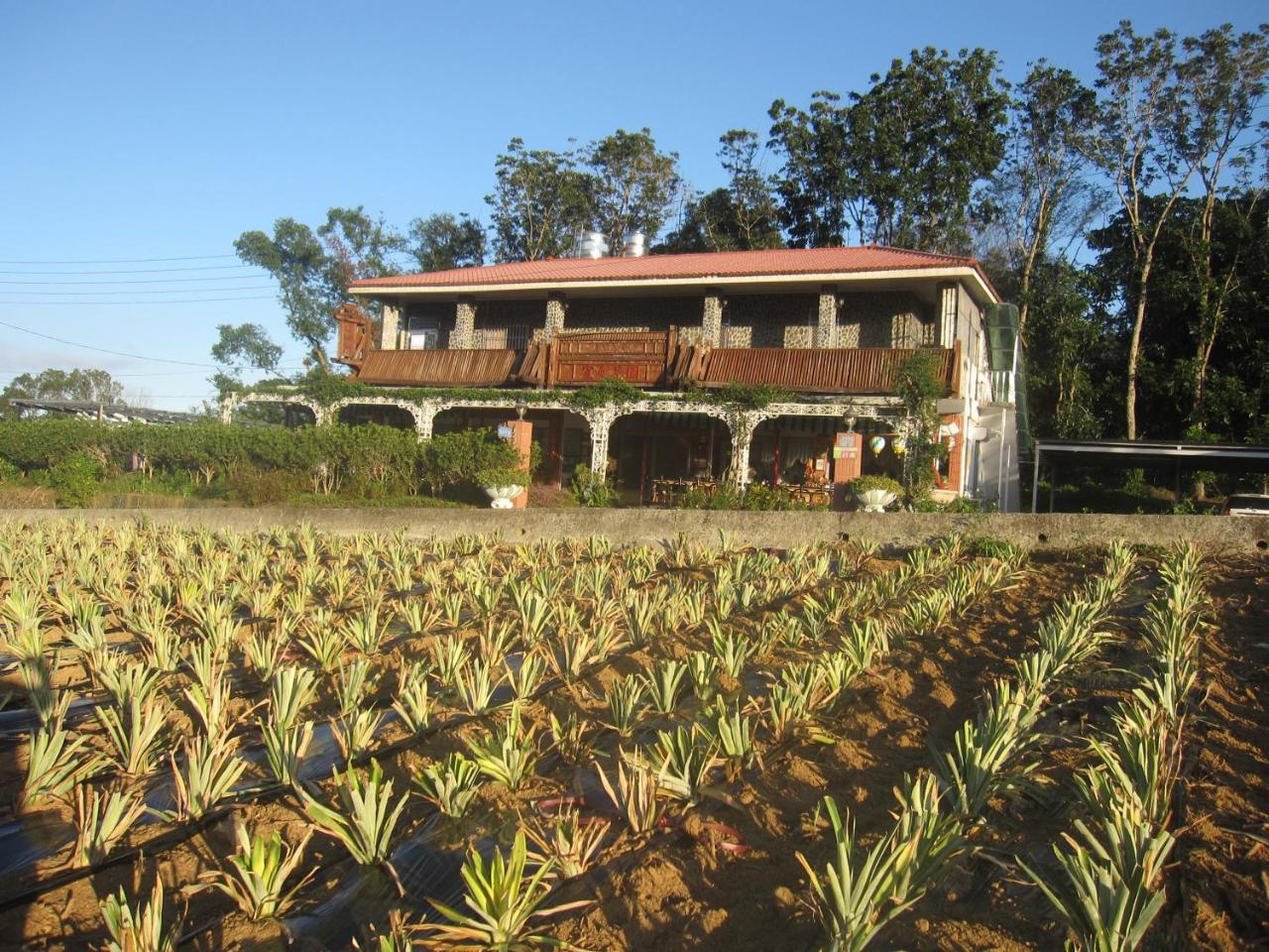 Kai Tai B&B Luye Exterior photo